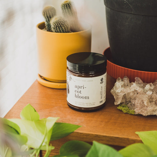 Apricot Bloom Soy Candle