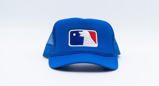 Play Ball Trucker Hat