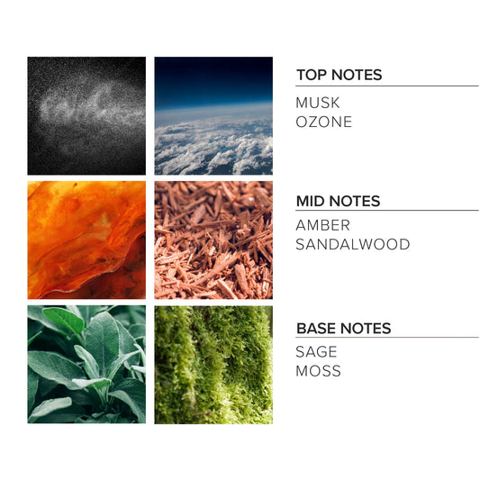 Santal Noir Beard Oil