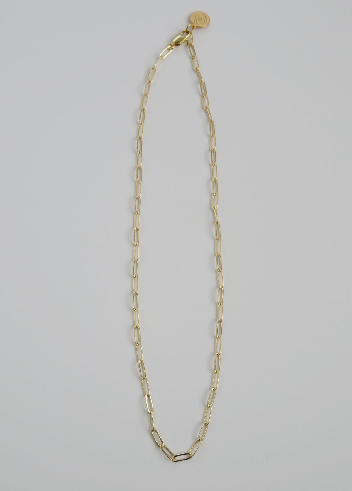 Small 16k Paperclip Link Necklace - add hinged clasp charms