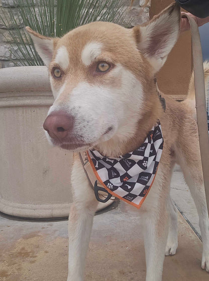 Foster Sponsor - The Wolf Society Hip & Joint Chews + Love's Legacy Coffee