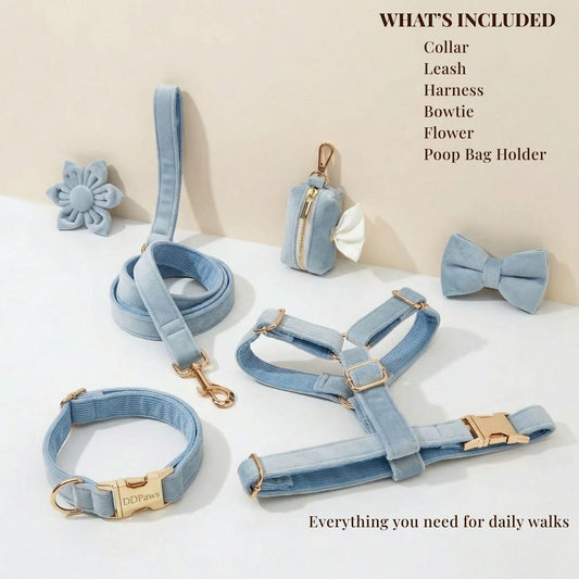 Light Blue Velvet Set