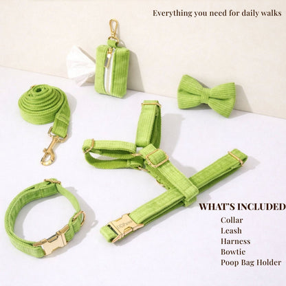 Apple Green Corduroy Set
