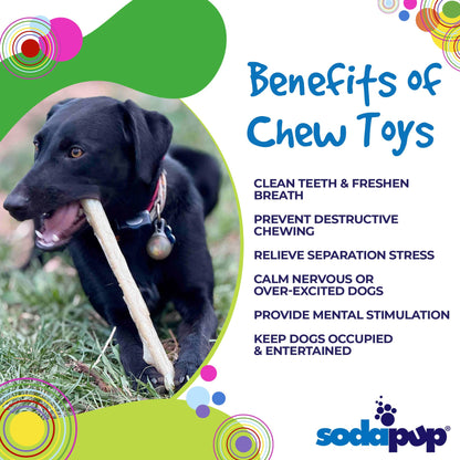Durable Nylon Chew Stick for Power Chewers | Durable Dog Toy USA