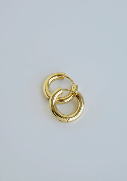 Noel Hoops