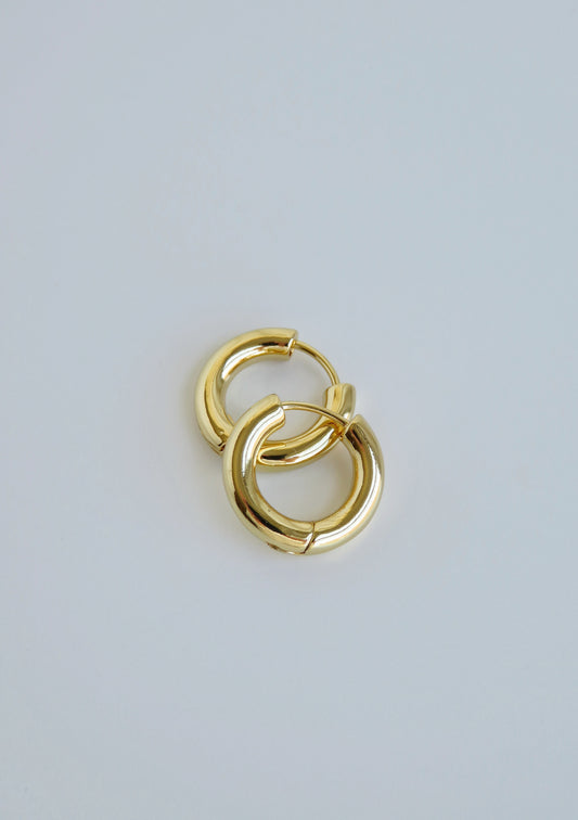 Noel Hoops