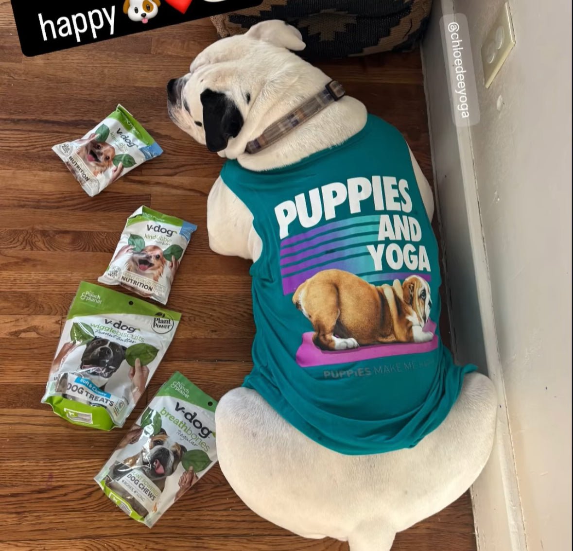 Puppies & Yoga OG Sleeveless Tank Top | Gift for Dog Moms