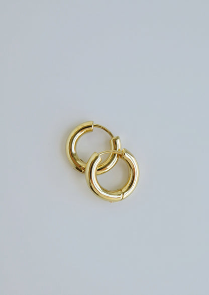 Noel Hoops