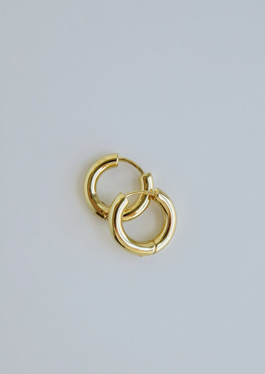 Noel Hoops