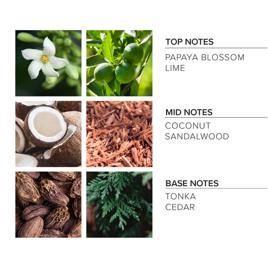 Coconut Sandalwood Liquid Soap
