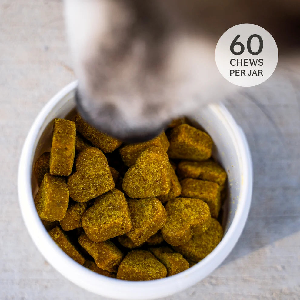Foster Sponsor - The Wolf Society Hip & Joint Chews + Love's Legacy Coffee