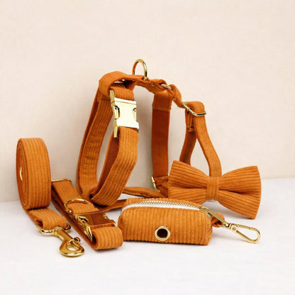 Orange Corduroy Set