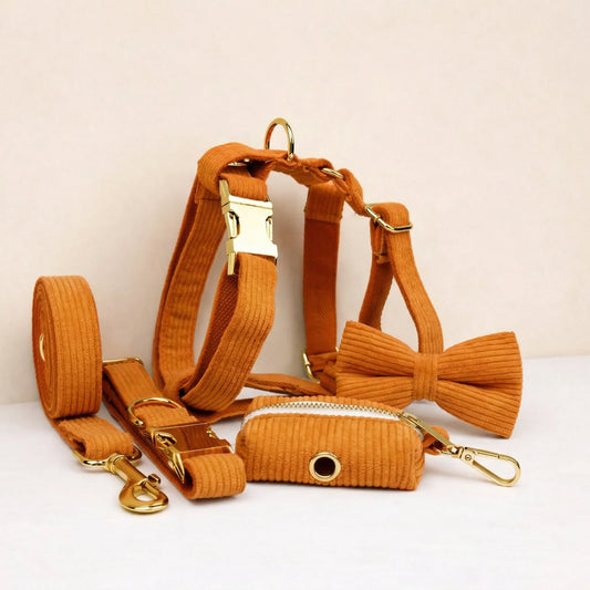 Orange Corduroy Set