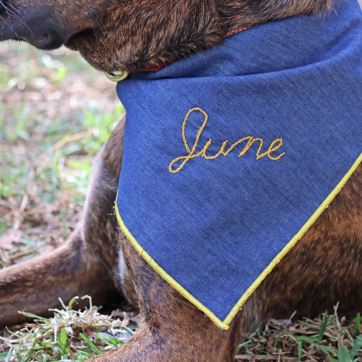 chambray scout bandana