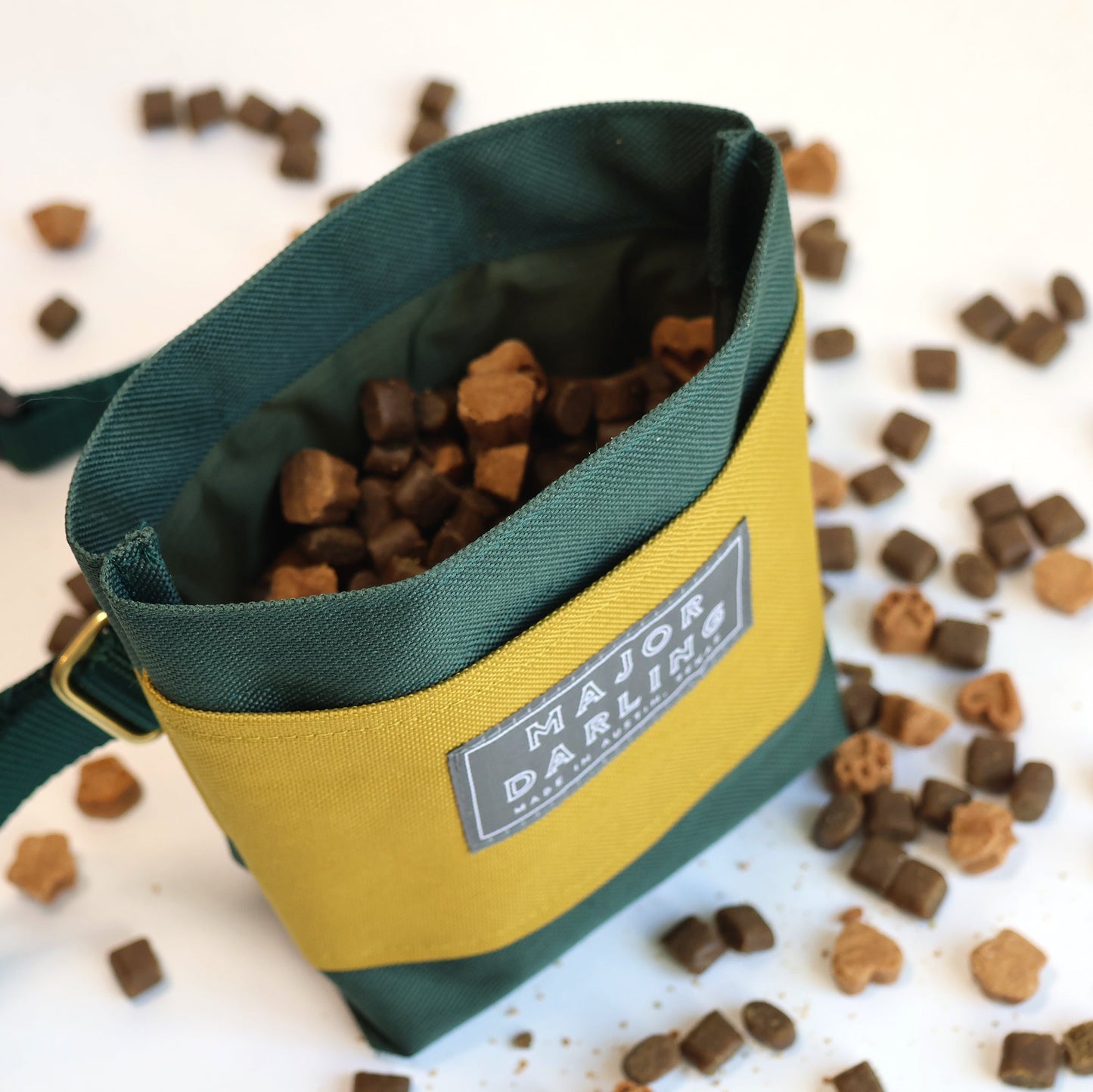training treat pouch