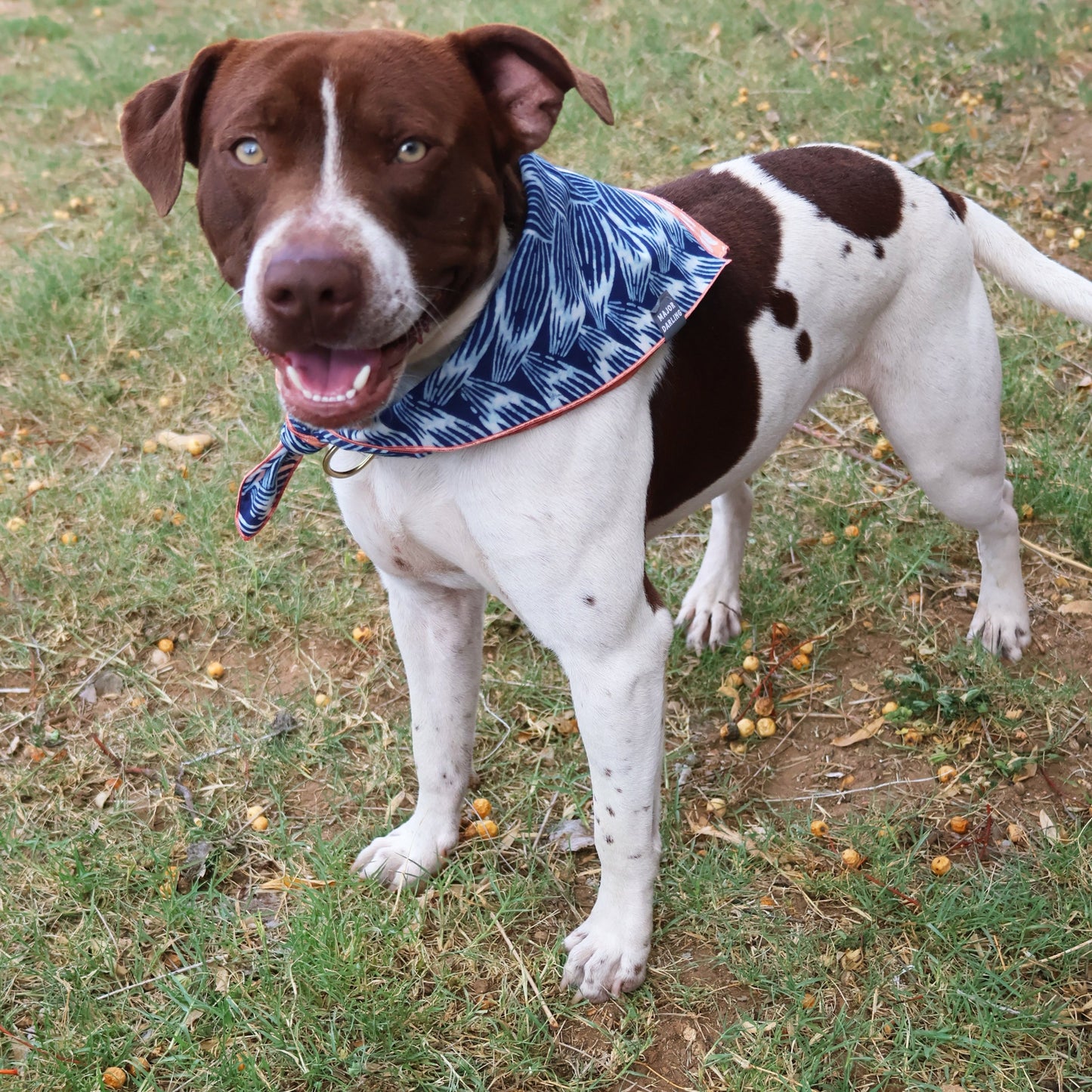 reversible bandana / braids and half-moons