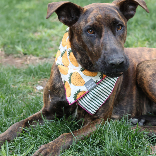 reversible bandana / yellow strawberries + stripes
