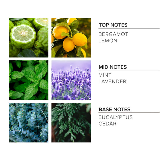 Lavender Mint Soy Candle