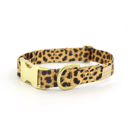 Leopard Print Dog Collar