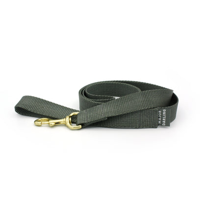 basic leash