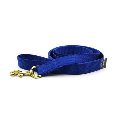 basic leash