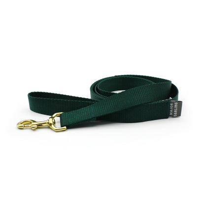 basic leash