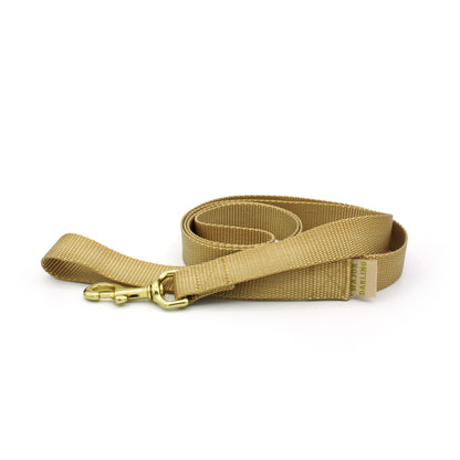 basic leash