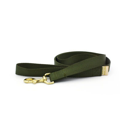 basic leash
