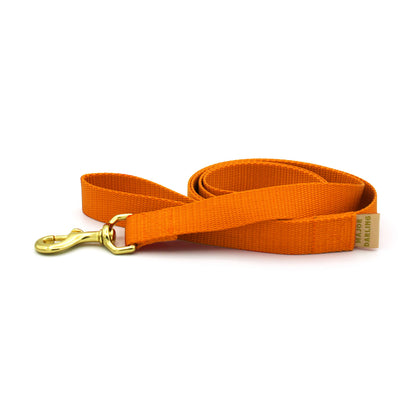 basic leash