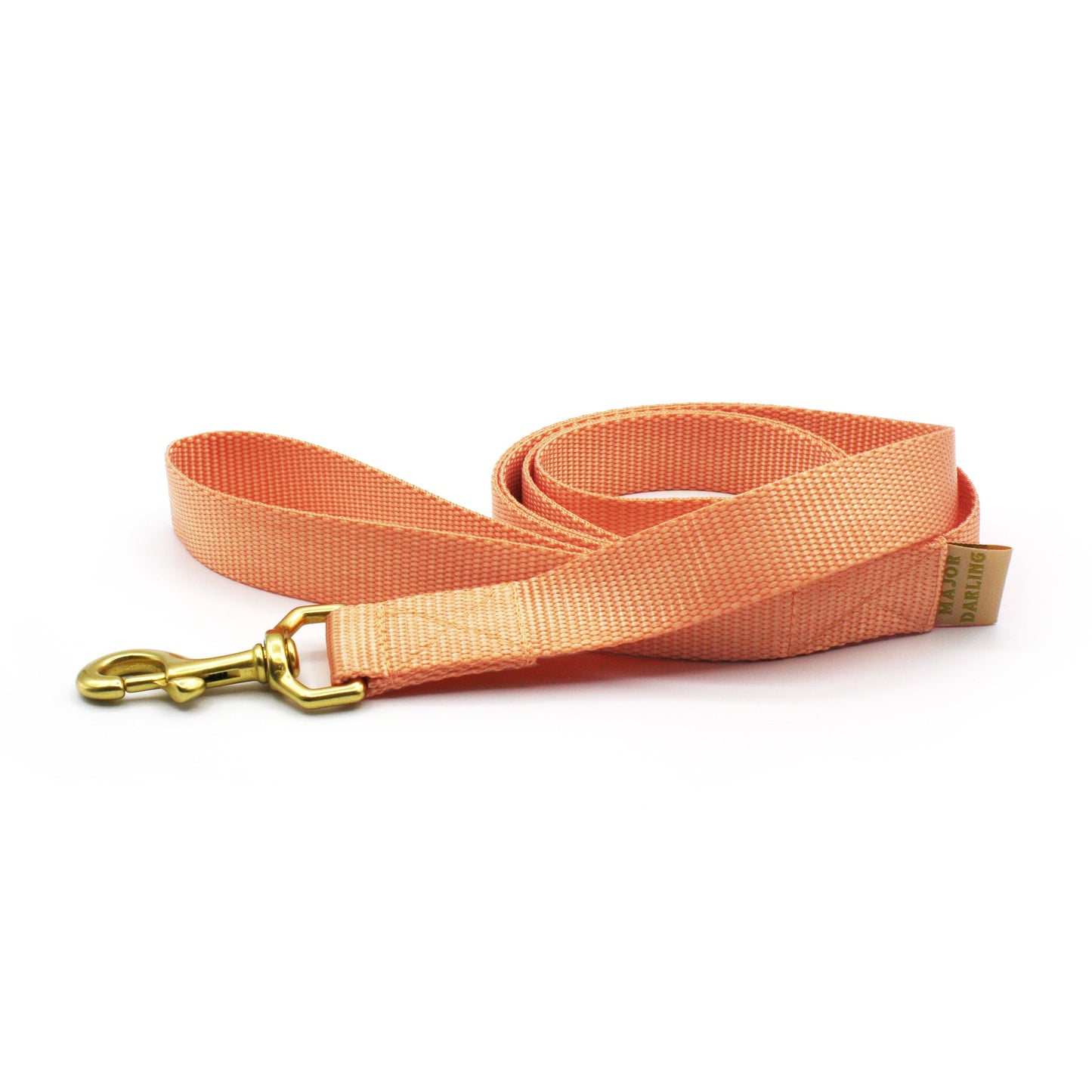 basic leash