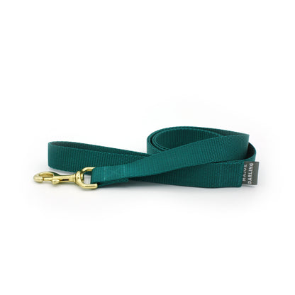 basic leash