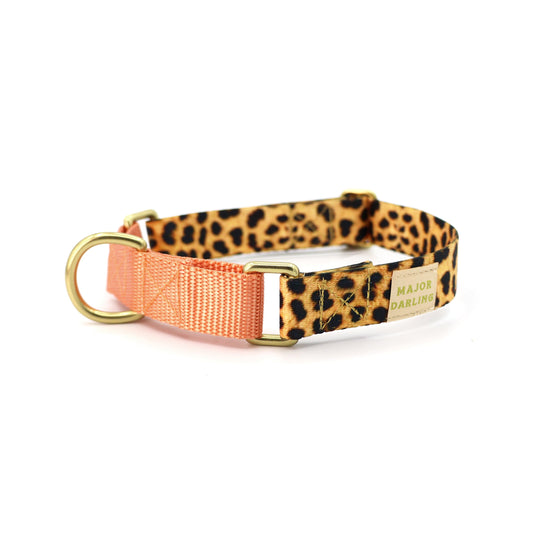Martingale Dog Collar – Leopard / Peach