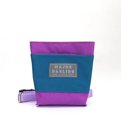 training treat pouch