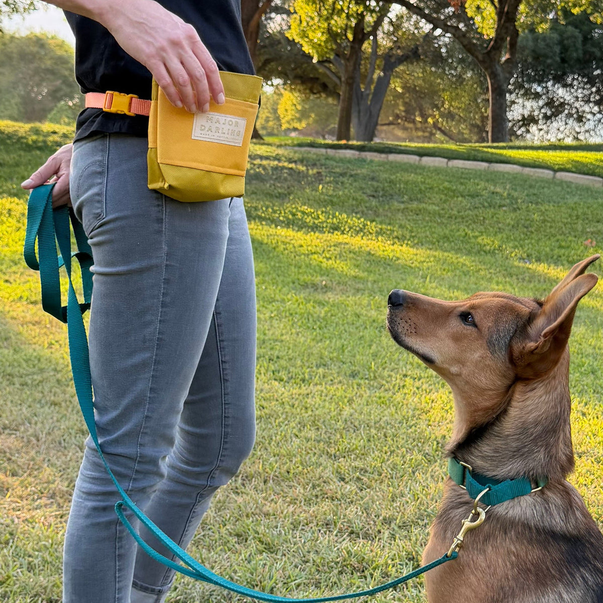 LLR Training Treat Pouch from Major Darling