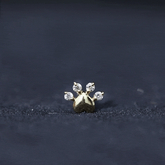 Diamond and Heart Dog Paw Print Cartilage Earring