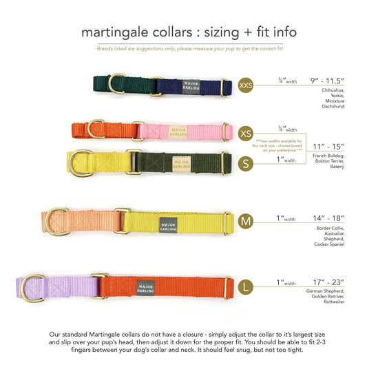 martingale collar / violet + teal