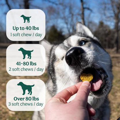 Foster Sponsor - The Wolf Society Hip & Joint Chews + Love's Legacy Coffee
