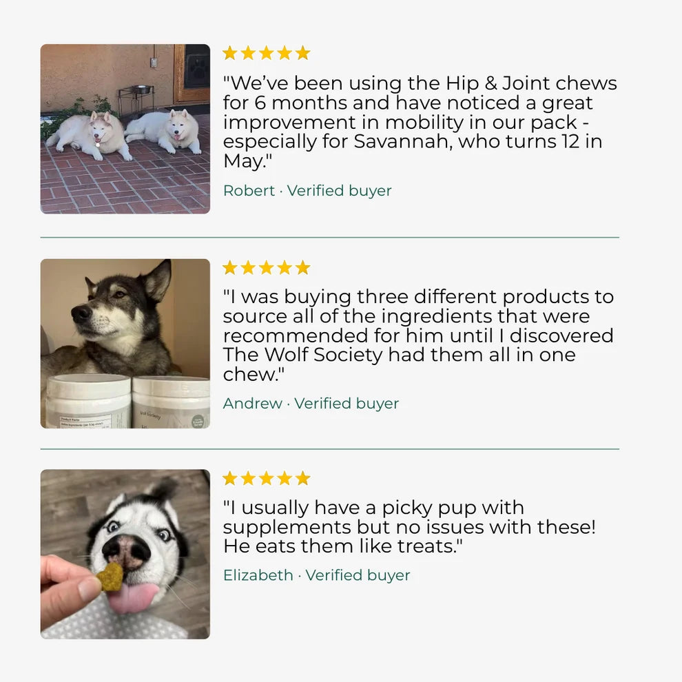 Foster Sponsor - The Wolf Society Hip & Joint Chews + Love's Legacy Coffee