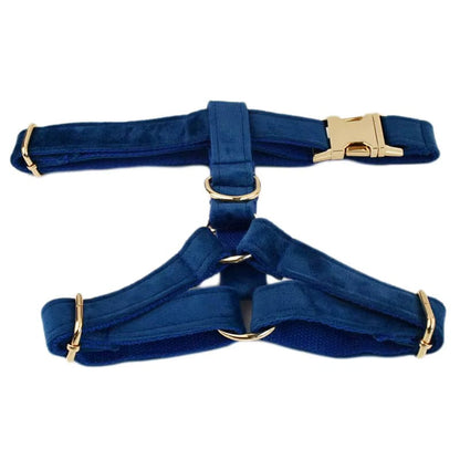 Blue Velvet Set