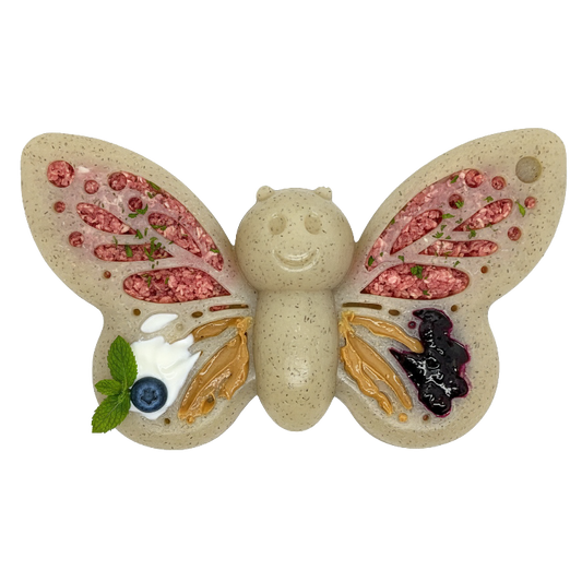 Butterfly Nylon Chew & Enrichment Toy | 2-in-1 for Aggressive Chewers | SodaPup