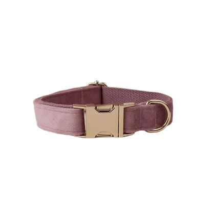 Light Purple Velvet Set