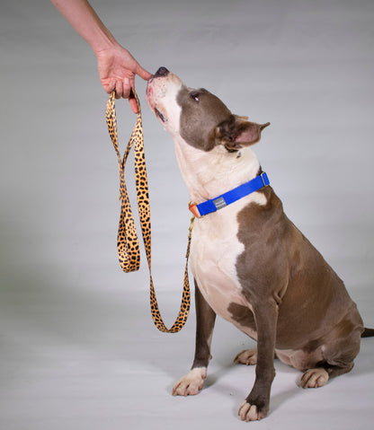 Leopard Print Dog Leash