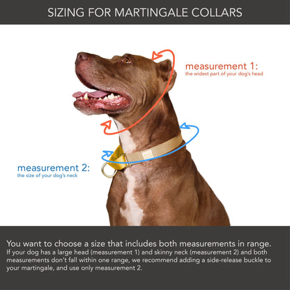 martingale collar / rose + grape / limited edition