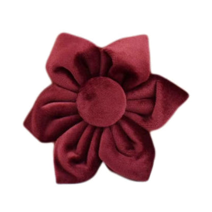 Red Wine Velvet Set