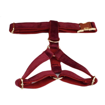 Red Wine Velvet Set
