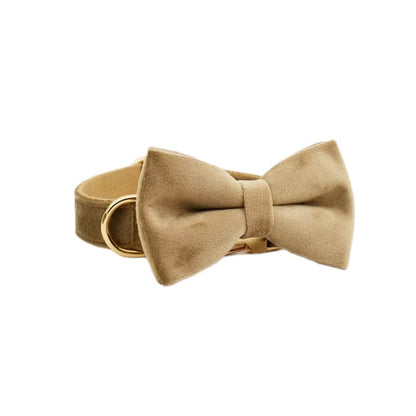 Shallow Khaki Velvet Set