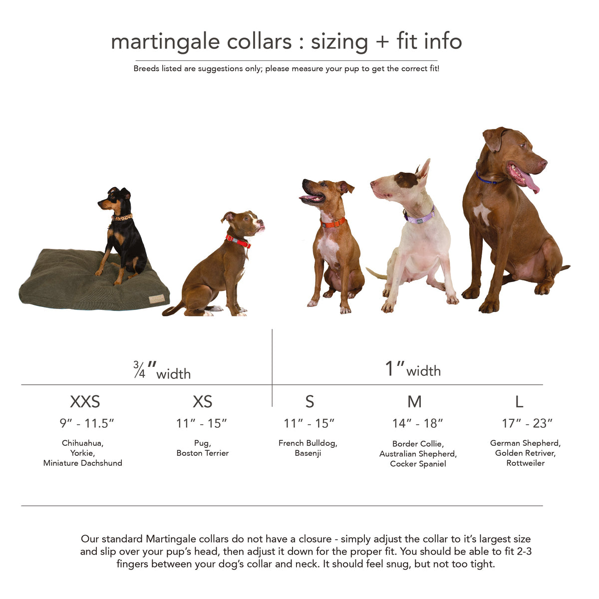 martingale collar / rose + grape / limited edition